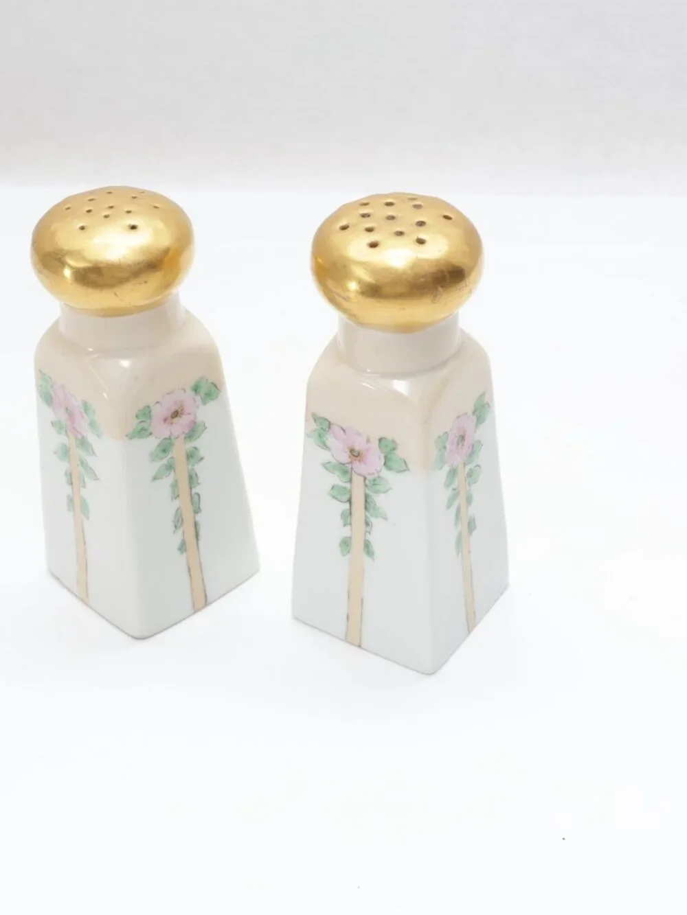 Hand Painted Bavarian Porcelain Salt and Pepperr ShakeSet Floral Design